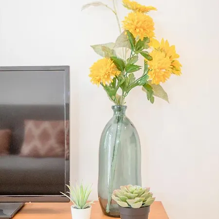 Charming Downtown - 4pp Wifi Tv